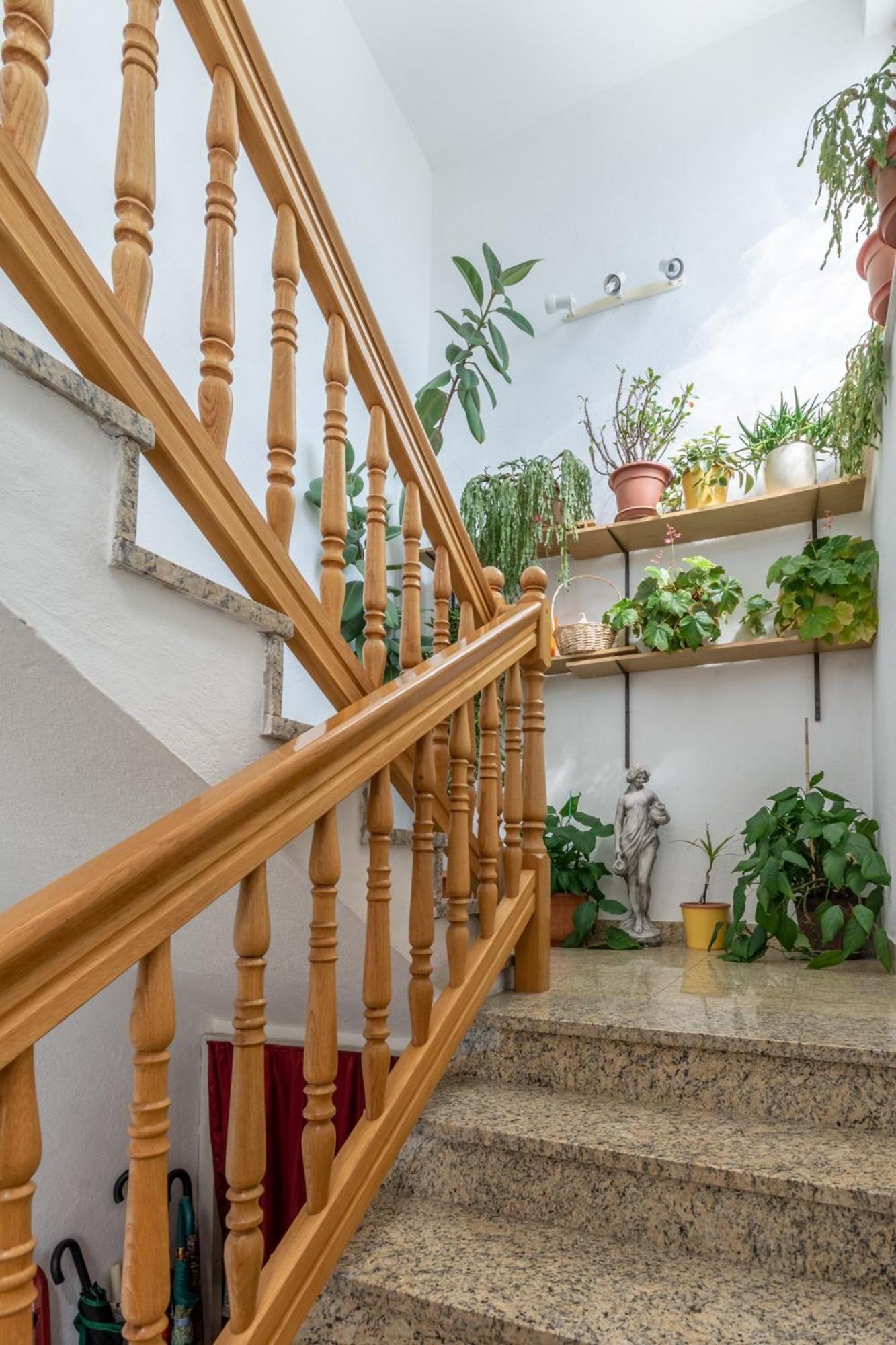 Apartments Mimi Trogir Rum bild